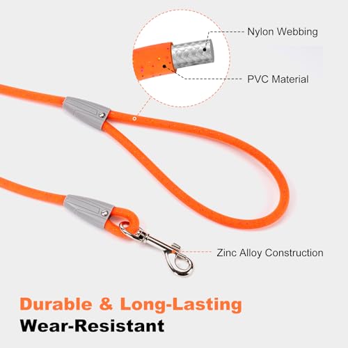 5FT Nylon Waterproof Dog Leash (Blue-B)