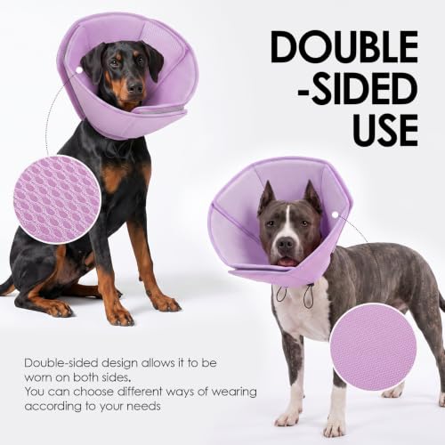 Soft Dog Cone (Purple / Large)