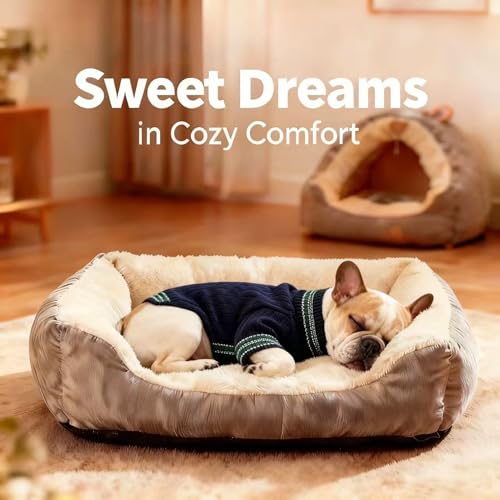 Small Medium Dog Sweater (Striped Blue / Large)