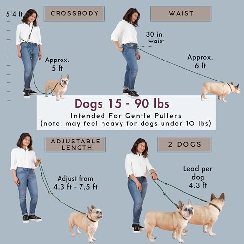 Hands Free Dog Leash (Pink / 8.2 ft x 3/8 in)