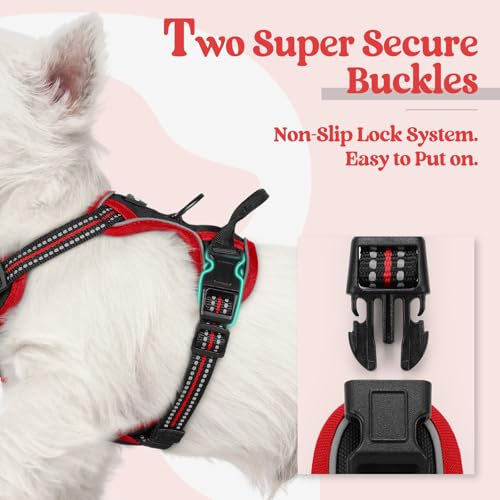 Dog Harness No Pull for Small Dogs with 2 Leash Clips (X-Small / Black & Red)
