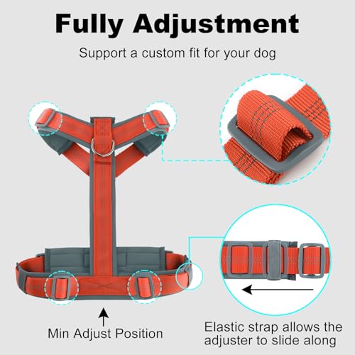 No Pull Dog Harness (XL / Orange)