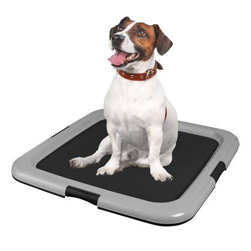Pee Pad Holder (Black/Gray / 22" x 22" (2-Pack))