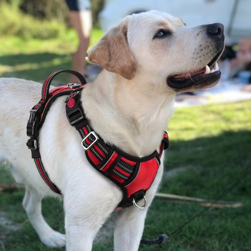 Dog Harness for Large (Red / Large)