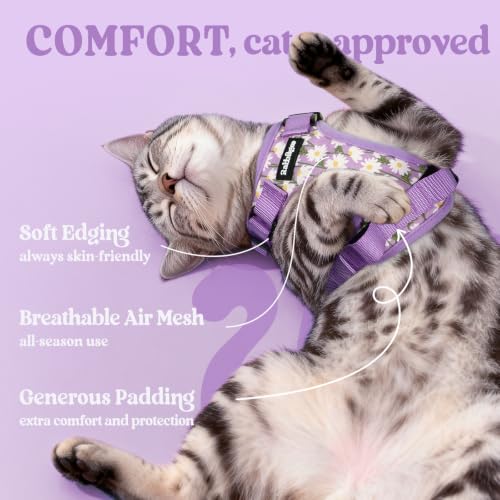 Cat Harness and Leash Set (Xxs / Purr-ple Daisy)