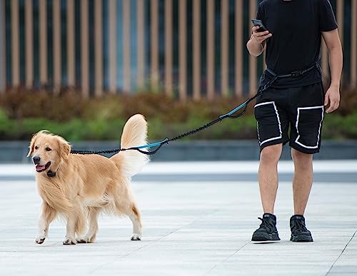 Hands Free Dog Leash with Zipper Pouch (yellow heart / Large)