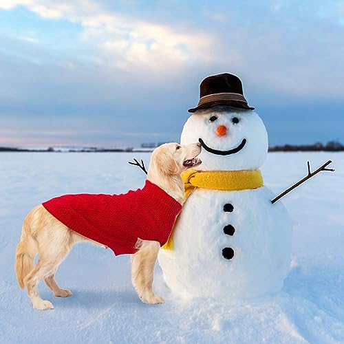 Turtleneck Dog Sweater (Large / Red)