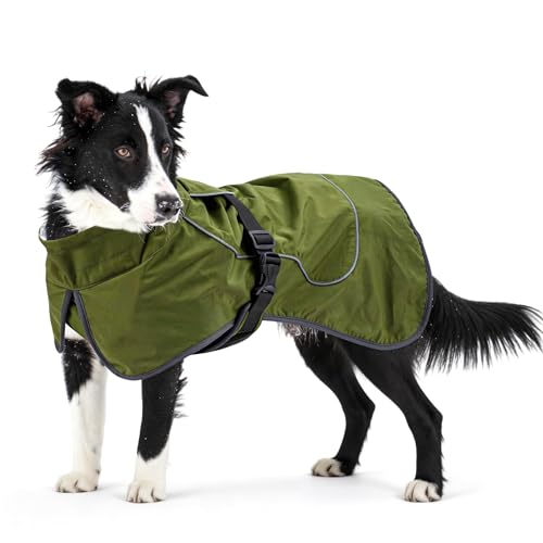 Waterproof Dog Raincoat (Green (Velvet Lining) / 2XL)