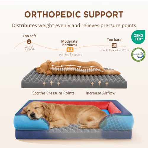 Orthopedic Dog Beds for Large Sized Dog with Bolster (36.0"L x 27.0"W x 8.0"Th / Philadelphia)