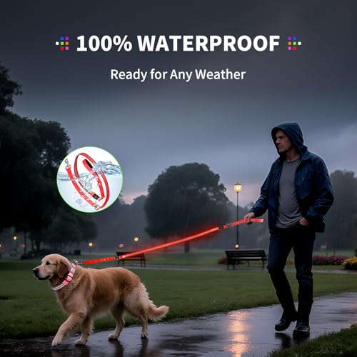 LED Dog Leash (Red / 6 feet)