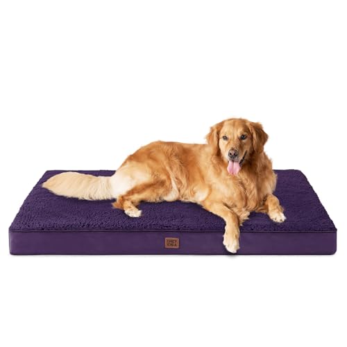 Orthopedic Dog Bed Extra Large with Removable Washable Cover (44*32*3.5 inches / Purple)