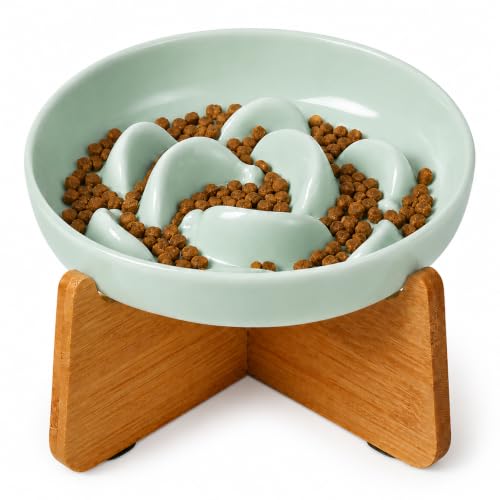 Elevated Slow Feeder Cat Bowl (Green + Bamboo Base / 7"H)