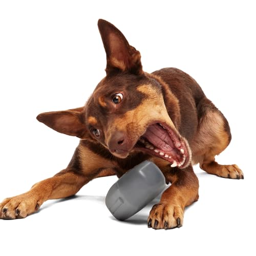 Drac Casket Dog Toy (Medium / Drac Casket)