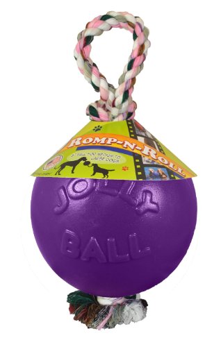 Romp-N-Roll Rope & Ball Dog Toy, 4.5 in Small, Purple (Purple / Small (4.5 in))