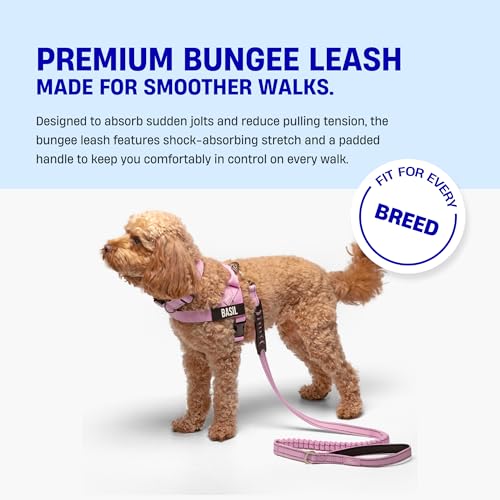 Bungee Dog Leash (Burgundy / Regular)