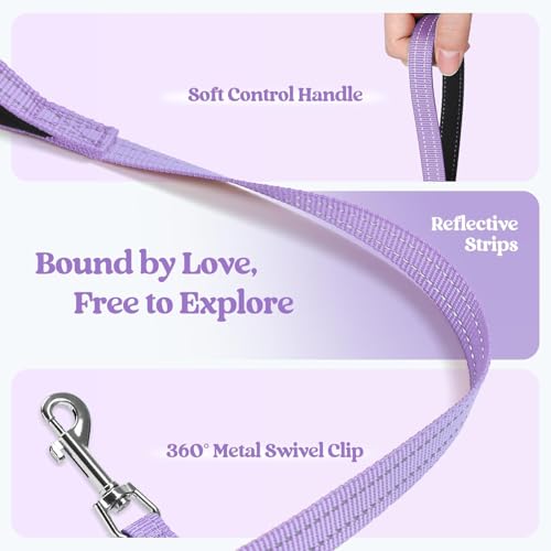 Dog Harness Medium Sized and Leash Set (Light Purple / L (chest: 18.2 - 20.5"))