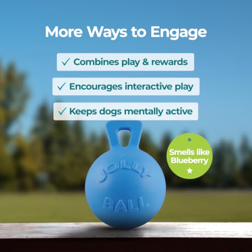 Tug-n-Toss Heavy Duty Dog Toy Ball with Handle, 10 Inches/X-Large, Blueberry for All Breed Sizes (Blueberry / XL (10 in))