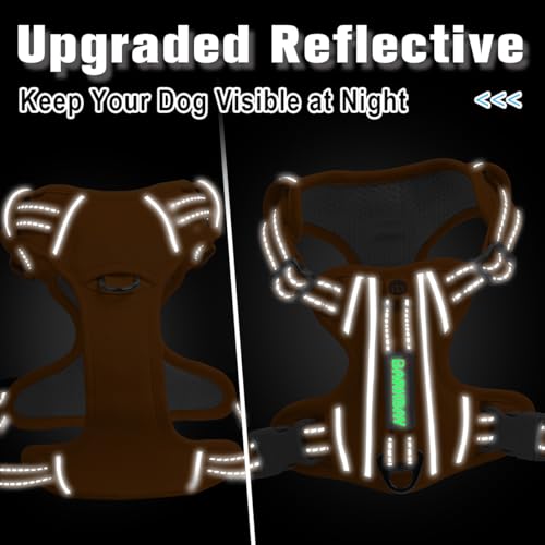 No Pull Dog Harness for Large Dogs (X-Large(Chest:30-38”) / Pumpkin-Oxford)