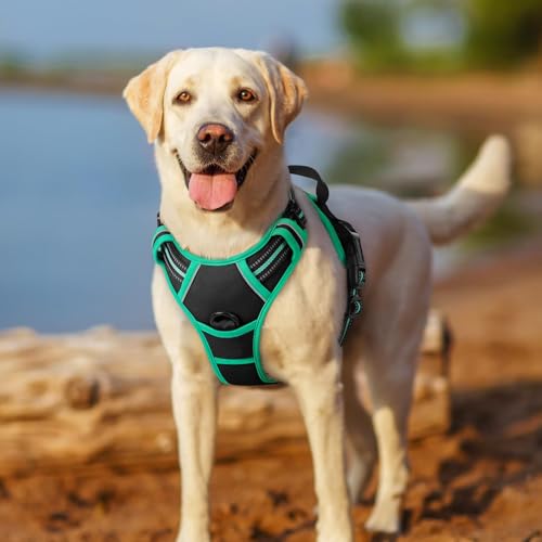 Dog Harness No Pull for Large Dogs with 2 Leash Clips (Large / Black & Turquoise)
