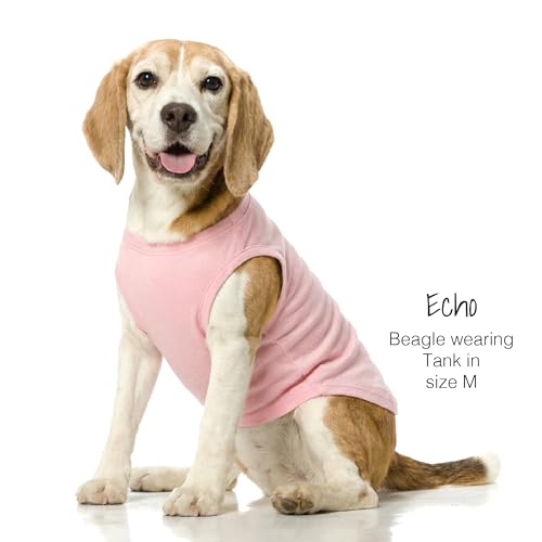 Tank Dog T Shirt (XX-Large / Pastel Pack)