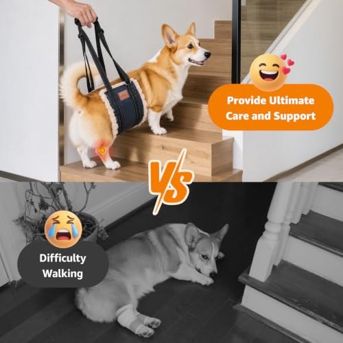Portable Dog Sling for Medium Dogs Hind Leg Support Weak Rear Legs (Dark Blue&Apricot / Medium)