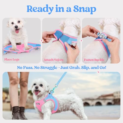 Dog Harness Medium Sized and Leash Set (Blue & Light Pink / M (chest: 16 - 18.5"))