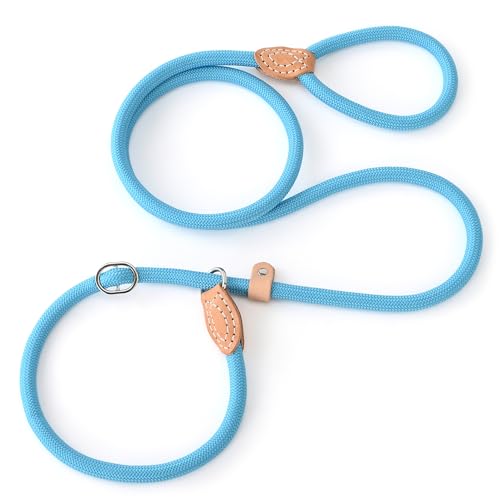Heavy Duty Slip Lead No Pull Leash 6 (Blue / 6 Feet)