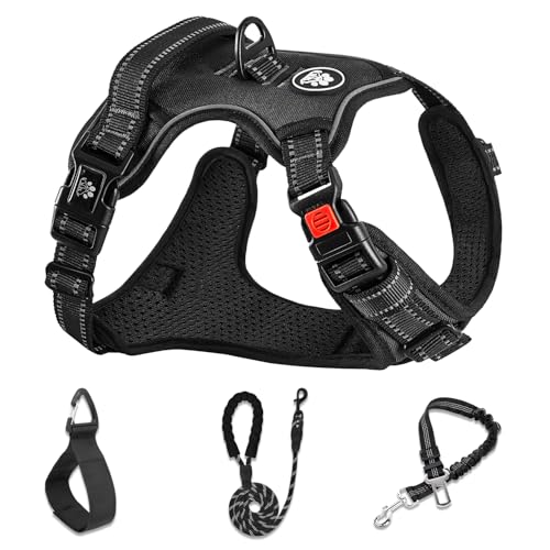 Dog Harness for Small Sized Dog (Black / Small)
