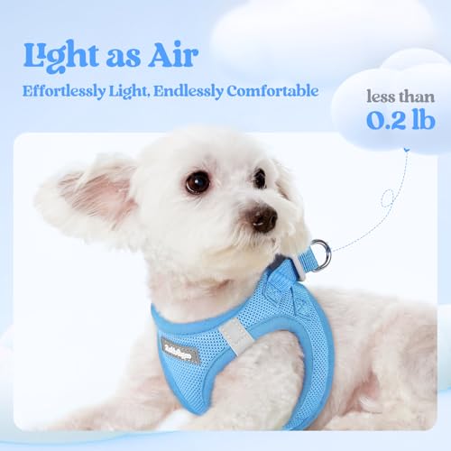 Dog Harness Medium Sized and Leash Set (Blue / M (chest: 16 - 18.5"))