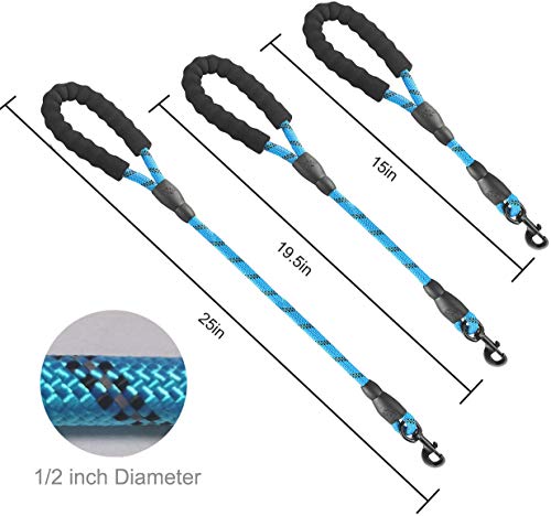 Nylon Traffic Leash with Padded Handle (Rope-Blue)