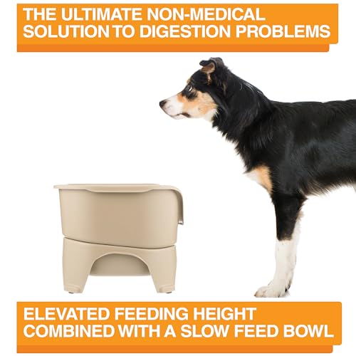 Express Model w (Medium to Large w/ Metal Slow Feed Bowl / Almond)