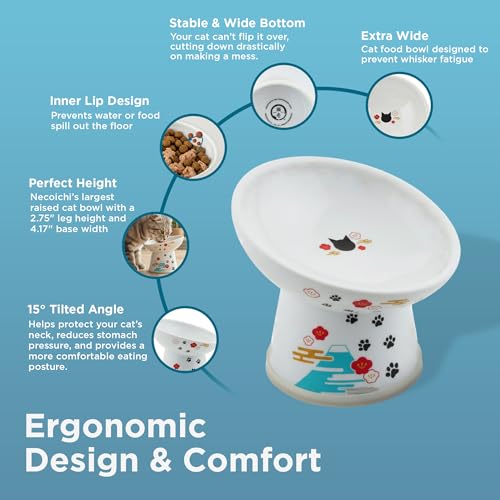 Necoichi Ceramic Elevated Cat Food Bowl (Fuji / Regular Tilted)