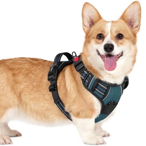 Dog Harness Small Sized (Small / Blue Coral)