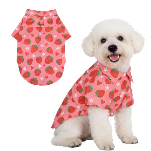 Spring Dog Shirt Outfit with Leash D (Small / Pink Strawberry)