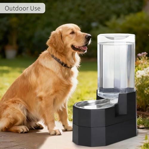 8L Raised Pet Water Dispenser (Black / 8L Raised)