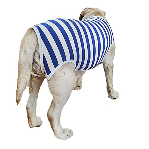 Dog’s Recovery Suit Post Surgery Shirt for Female Male Dog (2xl / blue white stripe)