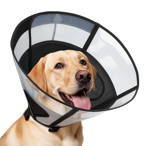 Soft Dog Cone Collar for Large Dogs (Black / L)