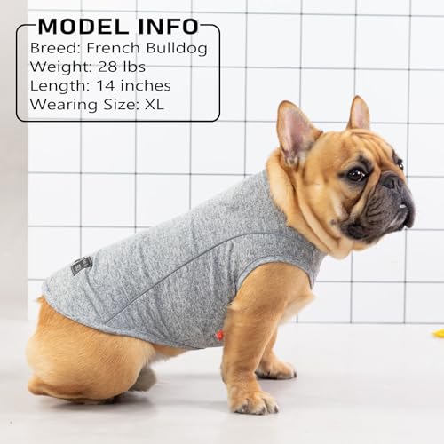 2Pack Reflective Dog Shirt (Medium (7-13lbs) / 8# 2Pack (Lake Blue+Rose Red))