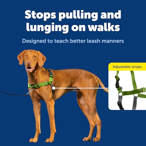 Easy Walk Harness (Medium / Apple Green/Gray)