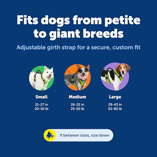 EasySport Dog Harness (Small / Orange)