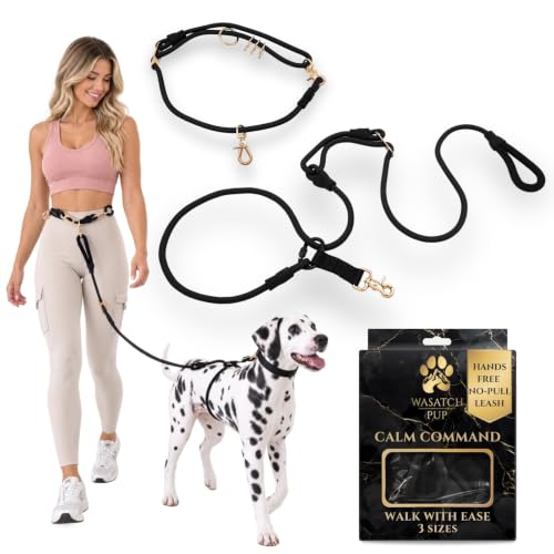 No Pull Hand Free Dog Leash with Wrap (Black / Large)