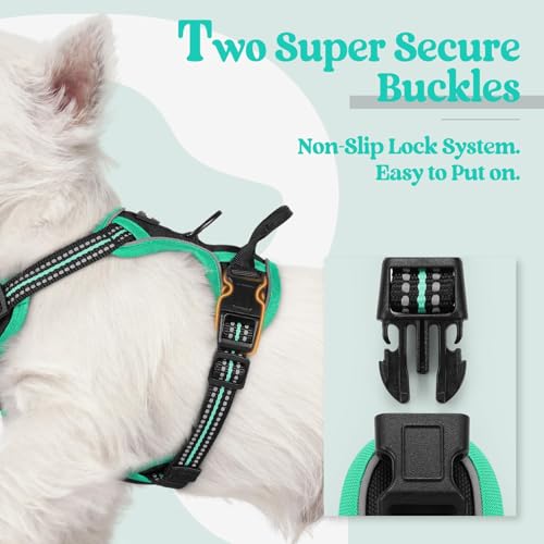Dog Harness No Pull for Small Dogs with 2 Leash Clips (X-Small / Black & Turquoise)