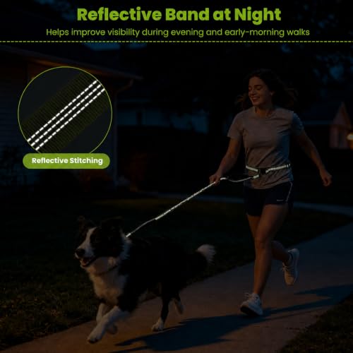 Hands Free Double Dog Leash (Green)