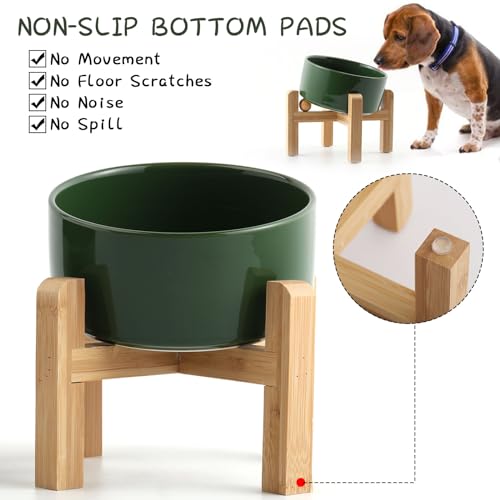 Raised Elevated 15°Slanted Ceramic Dog Bowl for Small Breeds (Rust Green / 1.7 CUPS - Puppy/Small Dogs & Cat Bowls)