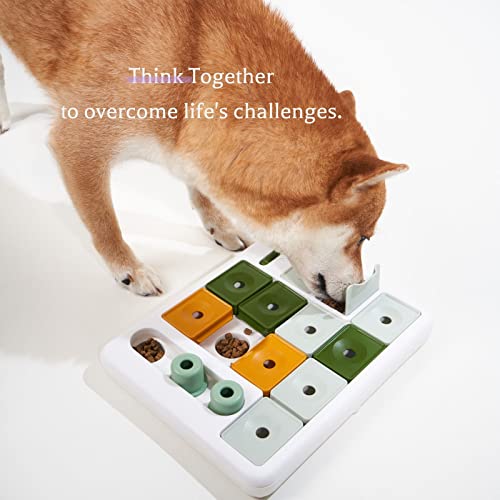 Dog Puzzle Toy 3 Levels - PetSolution