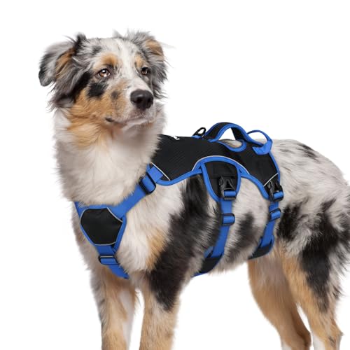 Escape Proof Dog Harness for Medium (Blue & Black / Medium)