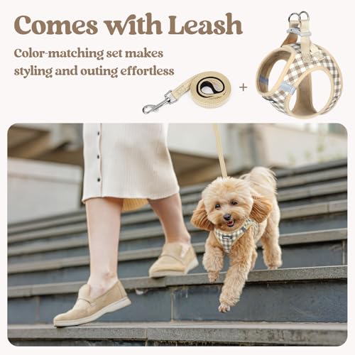 Dog Harness Small Sized and Leash Set (Beige Check / S (chest: 15.1 - 16.5"))