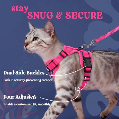 Cat Harness and Leash Set (S / Coconut Fuchsia)