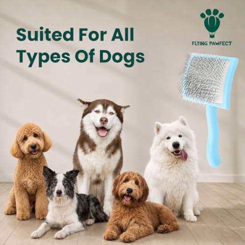Slicker Brush for Dogs (Baby Blue / Curved Large)