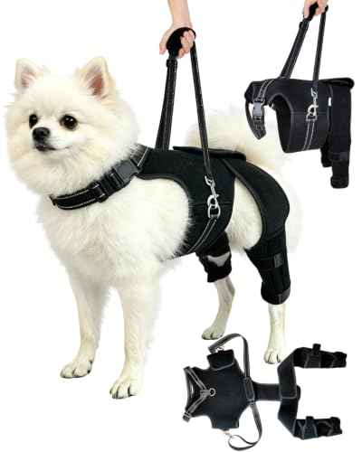 Dog Knee Brace and Lift Harness for Back Legs Rear Leg Support for Dogs with Detachable Lift Handle (XS)